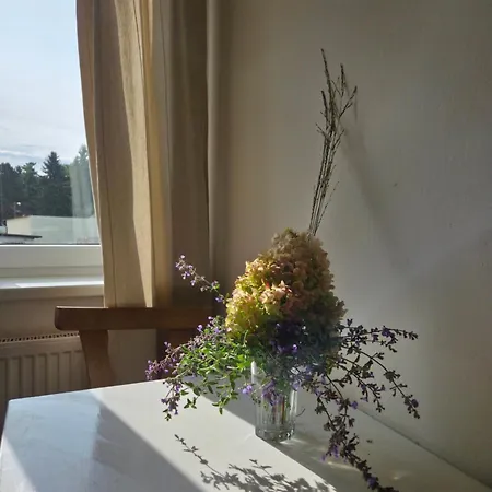 White Haven 3* Chribska